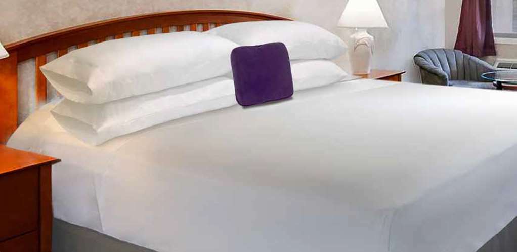 Econo Lodge Franklin Rum bild